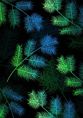 Abstract Pine Branches on Black Background