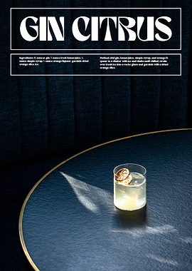 Gin Citrus Cocktail Still Life