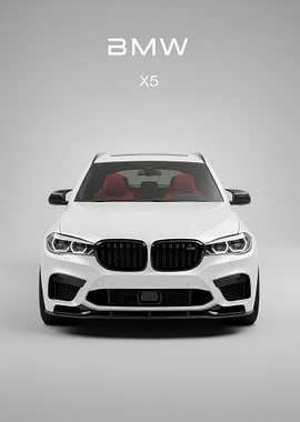 White BMW X5 Front poster