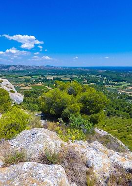 Photography of Scenic Landscape of Provence in France