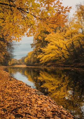 Autumn River Landscape