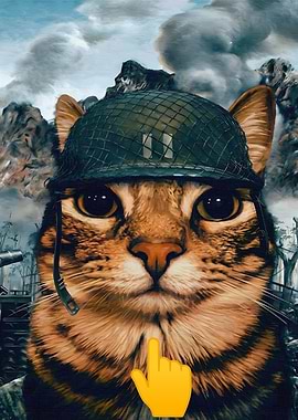 Military Cat Meme