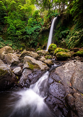 Waterfall in Lush Green Forest