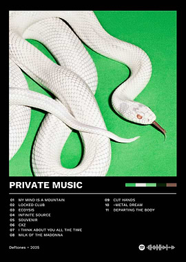 Private Music Album Cover Art