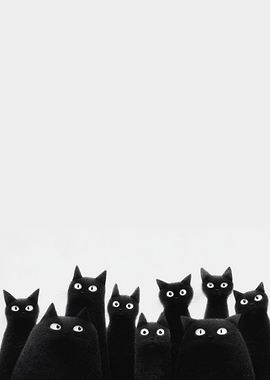 Group of Black Cats