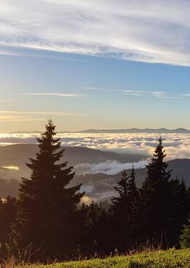 Mountain View with Clouds and Trees