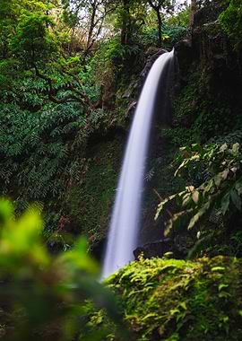 Lush Waterfall Scene