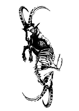 Goat Skeleton Black and White Art