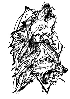 Wolf Sketch Illustration