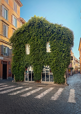 Ivy-covered building in Rome