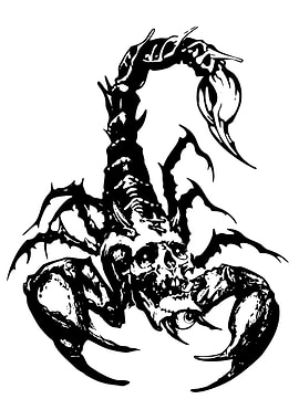 Skull Scorpion Black and White Illustration
