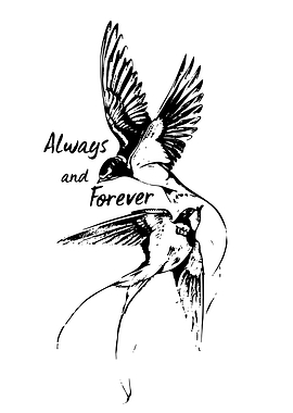 Swallows Always and Forever