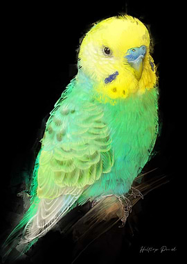 Green and Yellow Budgerigar Portrait