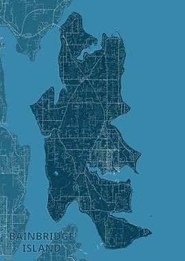 Bainbridge Island Map - Detailed Topography