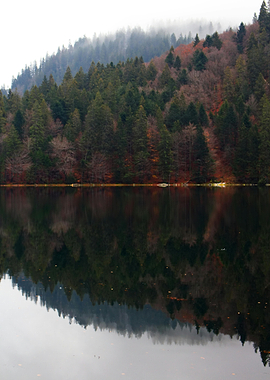 Lake and Forest Reflection