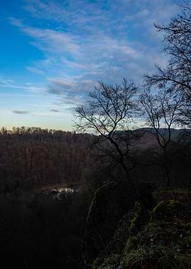 Overlook of Forest and Sky