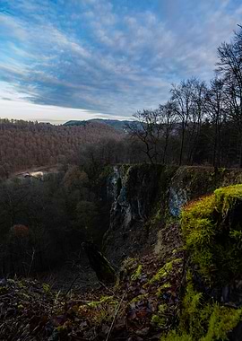 Overlook into Forested Valley