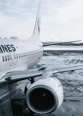 Japan Airlines plane on wet tarmac