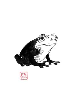 Ink Frog Illustration