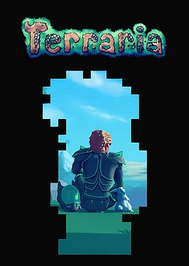 Terraria Contemplation
