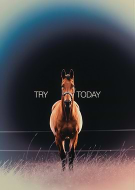 Try Today