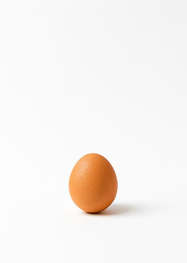 Single Brown Egg on White