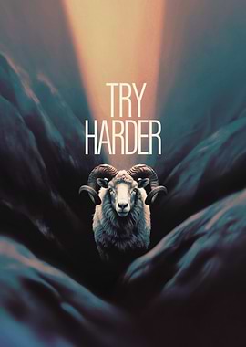 Try Harder