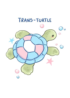 Trans-Turtle
