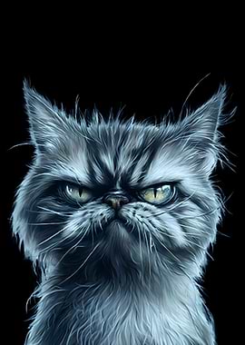 Grumpy Cat Portrait on Black Background