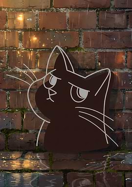 Grumpy Cat on Rainy Brick Wall