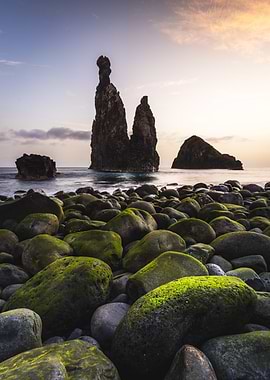 Mossy Rocks and Ocean Pillars