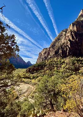 Zion National Park Landscape