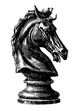 Chess Knight Piece Black and White