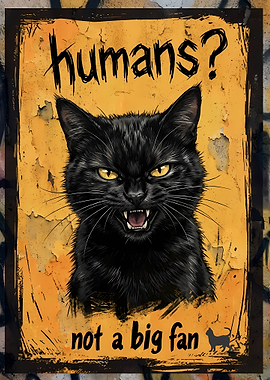 Grumpy Black Cat Poster