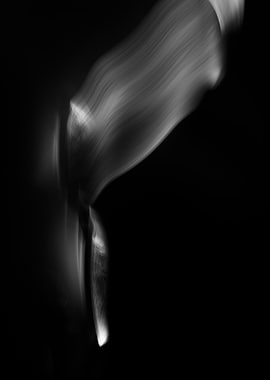 Abstract Motion Blur in Black and White