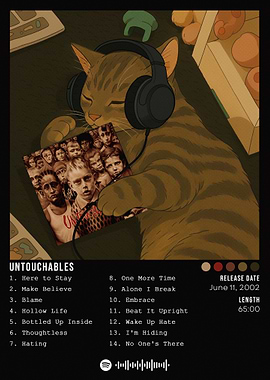 Cat listening to Untouchables album