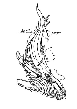 Whale breaching line art illustration