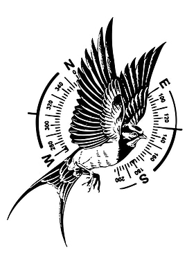Bird and Compass Black and White