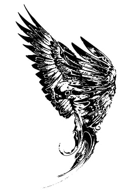 Detailed Black and White Wing Illustration