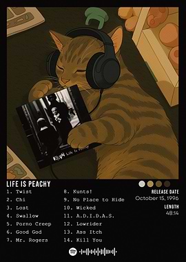 Cat Listening to Korn Album