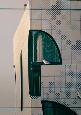 Seagull on Modern Tiled Building
