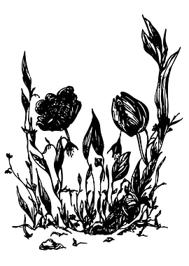 Floral Skull Illusion