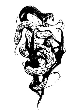 Black and White Snake Illustration