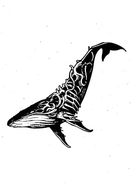 Whale Illustration in Black and White