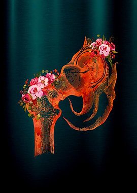 Floral Hip Joint Anatomy