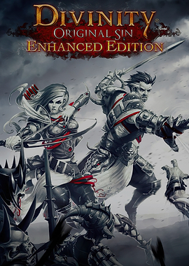 Divinity Original Sin Enhanced Edition Artwork