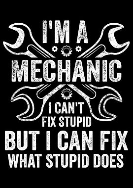 I'm a Mechanic Poster, Funny Garage Wall Art, I Can't Fix Stupid Quote Print