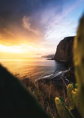 Coastal Sunset with Cliffs and Cactus
