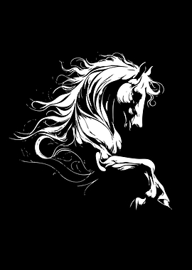 White Horse on Black Background