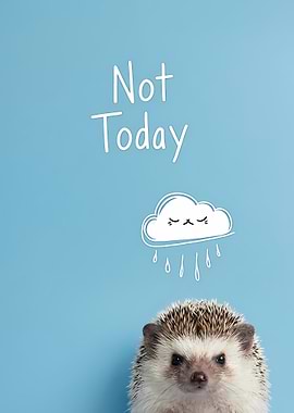 Not Today Hedgehog